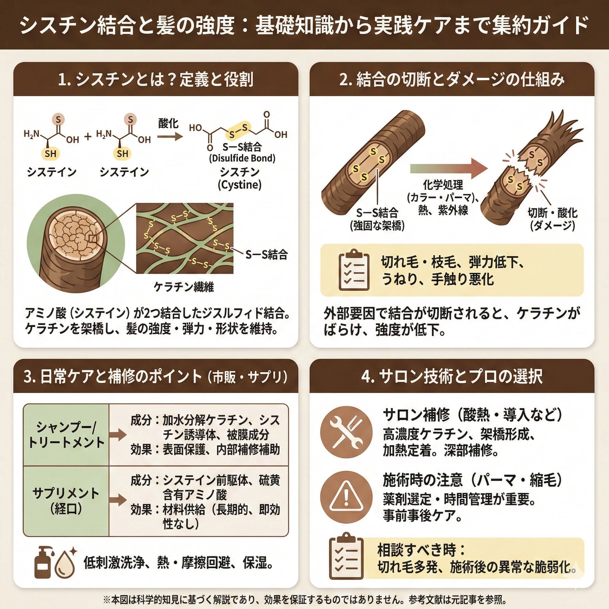 シスチンとは？髪が強くなる仕組みを解説