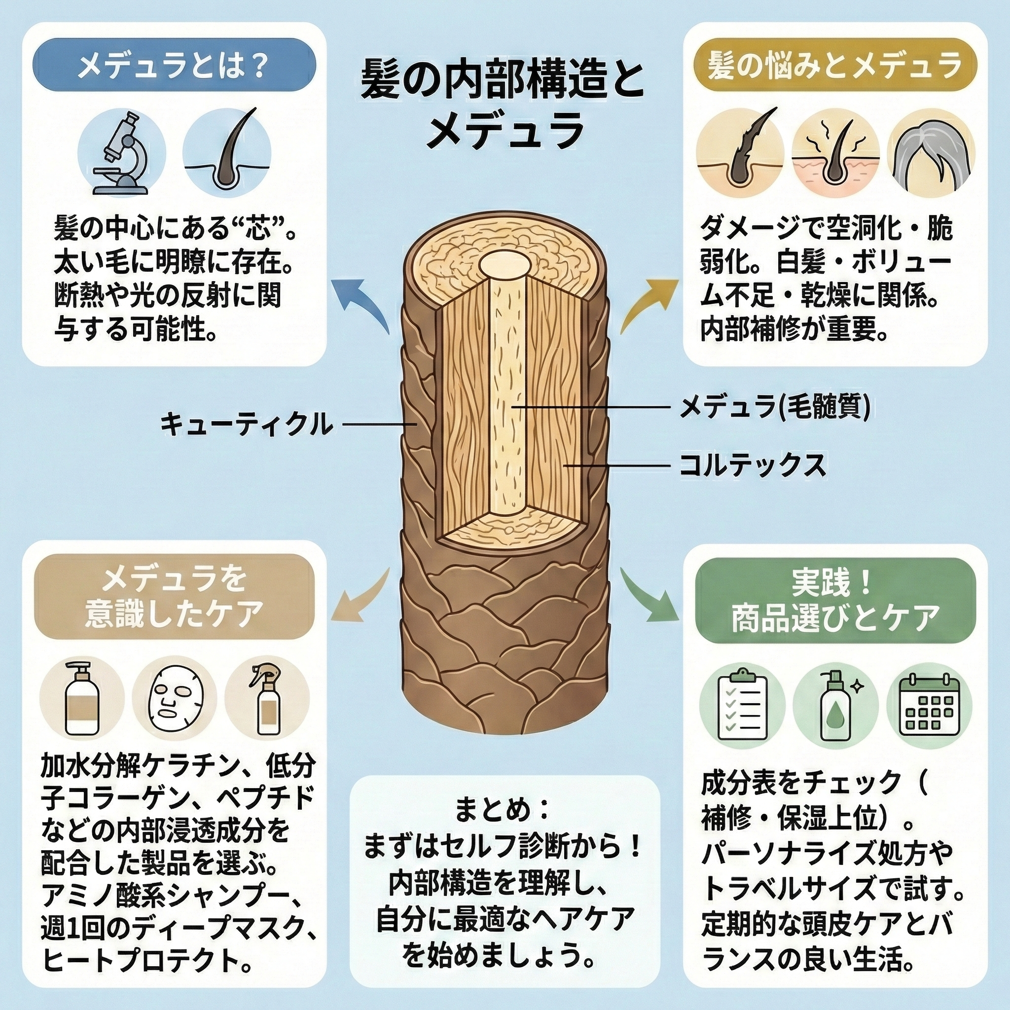 メデュラとは？髪の“芯”の正体を解説